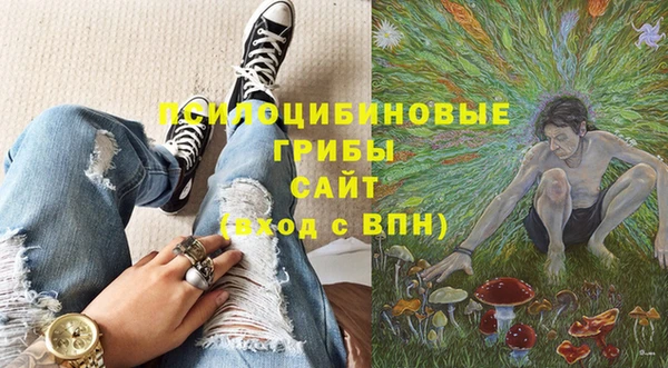 бошки Алексеевка